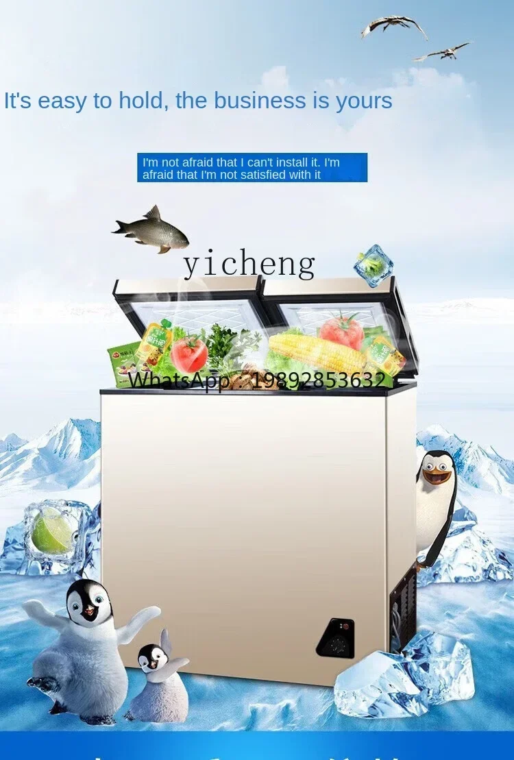 Food Storage Temperature - 가정용 소형 미니 절전형 무서리 이중