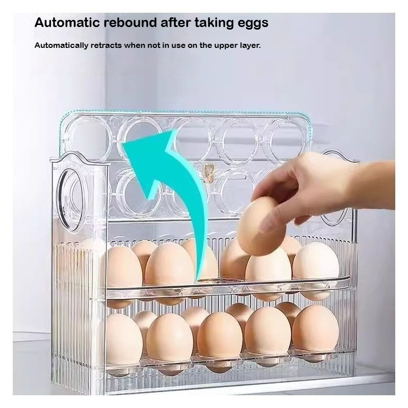 Food Storage Rack For Kitchen - 자동 리바운드 계란 보관함 냉장고 측면