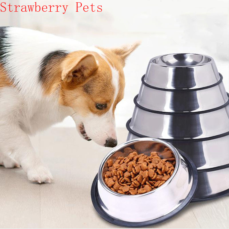 스테인레스 스틸 애완 동물 강아지 그릇 식품 저장 용기 - Dog Food Storage Xl 리뷰 및 가격
