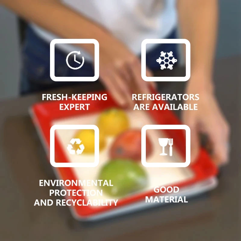 식품 보존 트레이 PP 재사용 가능 적층형 식품 트레이 - Food Storage Food Safety 리뷰 및 가격