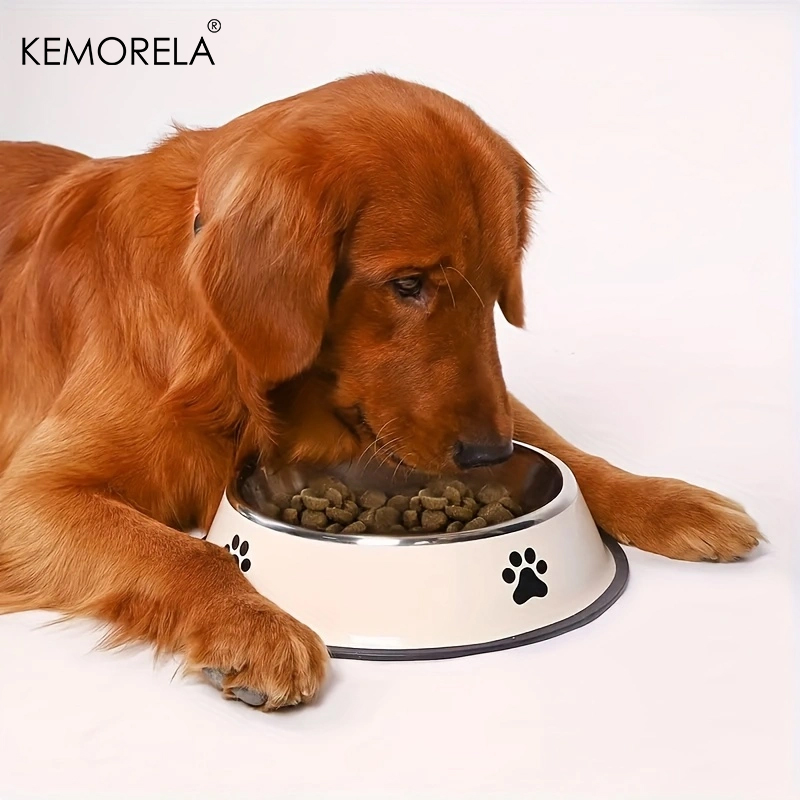 스테인레스 스틸 애완 동물 강아지 그릇 식품 저장 용기 - Dog Food Storage Xl 리뷰 및 가격