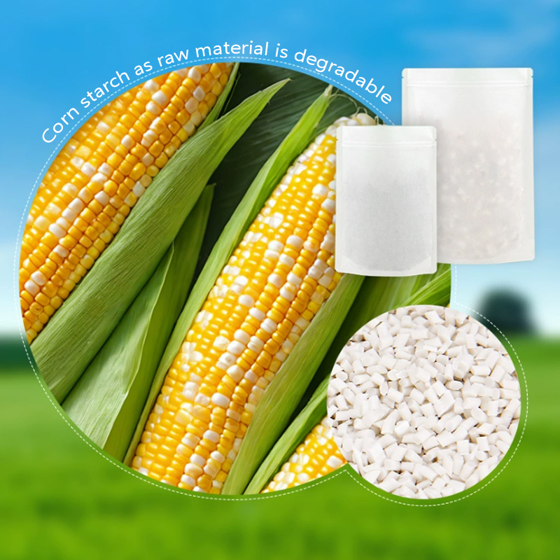 맞춤형 생분해성 크라프트 종이 지퍼백, 차 보관 밀봉  - Food Storage Plant 리뷰 및 가격
