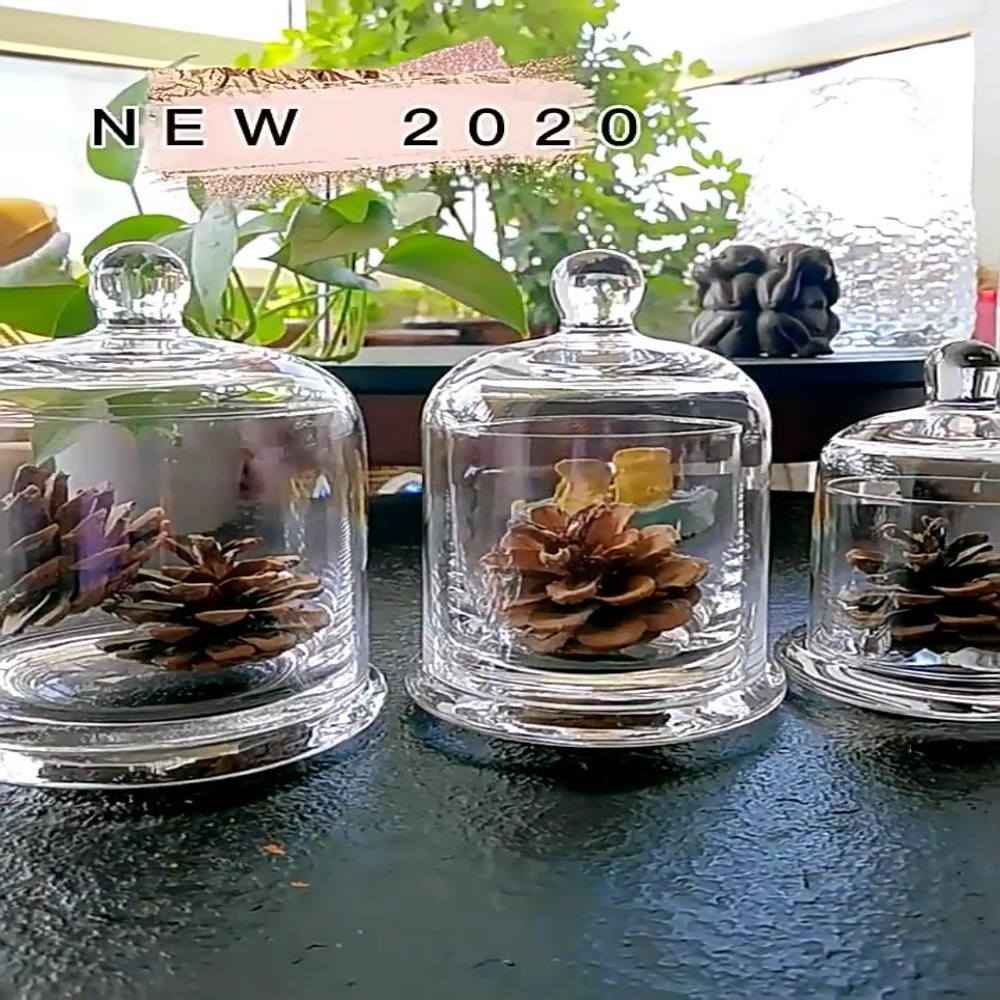 유리 보관 용기, 영원한 생명의 꽃, 8가지 색상, 아 - Food Storage Plant 리뷰 및 가격
