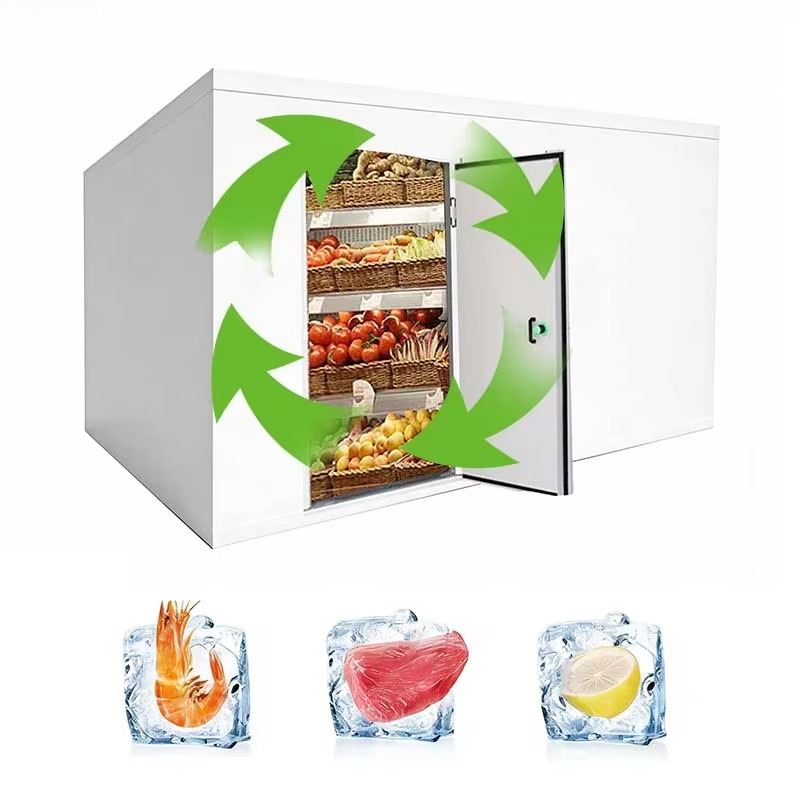맞춤형 식품 등급 저온 저장실 위생적이고 청소가 쉬운  - Food Storage Food Safety 리뷰 및 가격