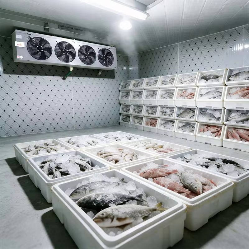 맞춤형 식품 등급 저온 저장실 위생적이고 청소가 쉬운  - Food Storage Food Safety 리뷰 및 가격